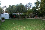 2005 10 16 guinguettemp 089
